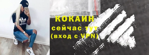 молекула духа Новодвинск