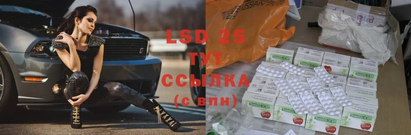 PSILOCYBIN Новозыбков
