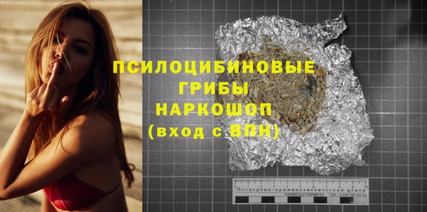 молекула духа Новодвинск