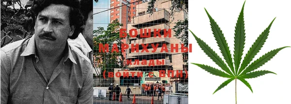 молекула духа Новодвинск