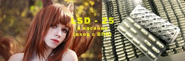 PSILOCYBIN Новозыбков