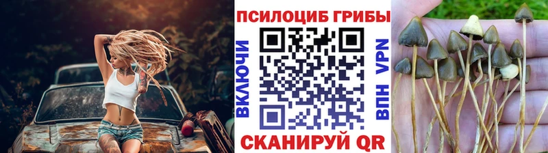 Галлюциногенные грибы GOLDEN TEACHER Томск