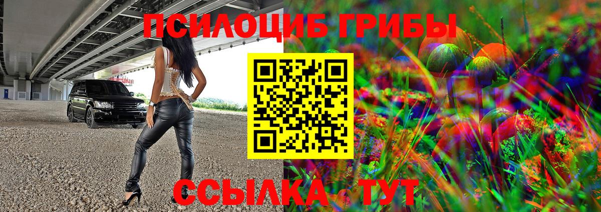 Псилоцибиновые грибы прущие грибы  закладка  Псилоцибиновые грибы ЛСД  Томск 