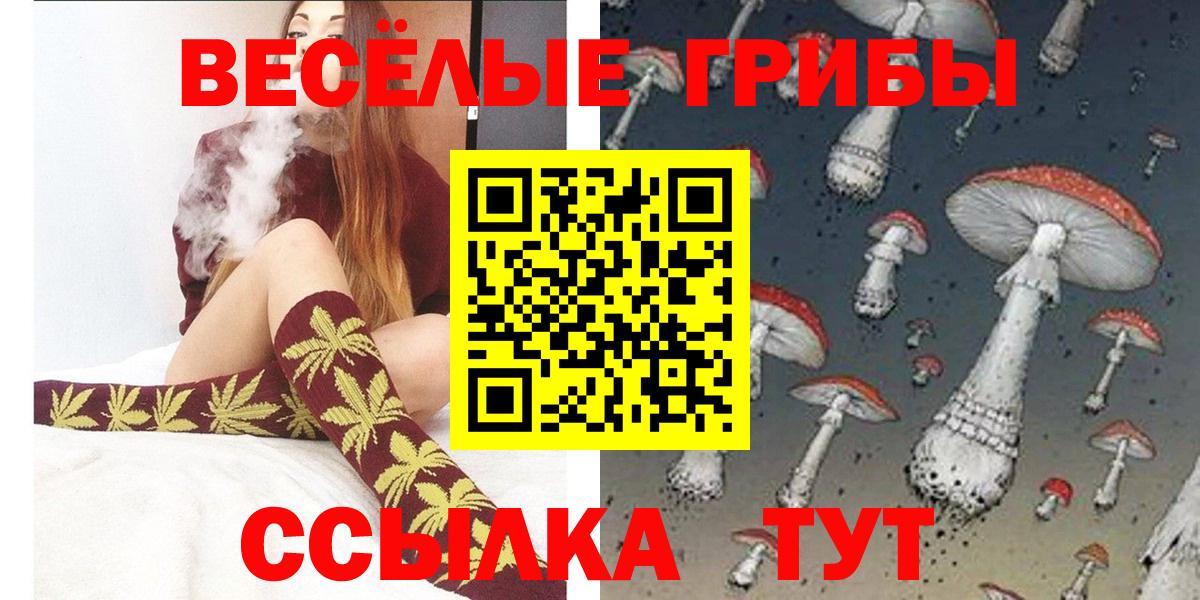 Бошки Шишки Томск